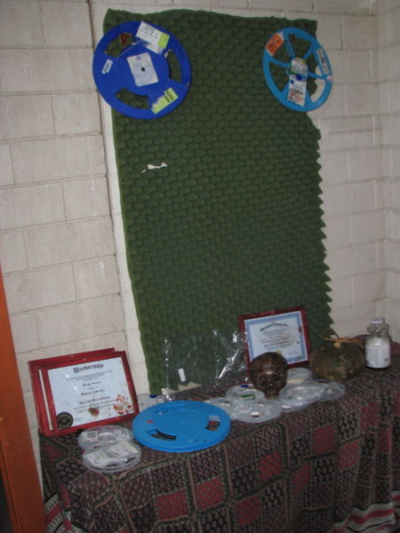 Image:Scare08 17 library-3.JPG